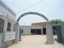 Gallery-6