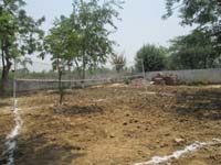 Gallery-9