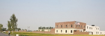 Gallery-2
