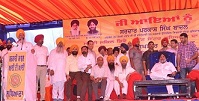 Gallery-2